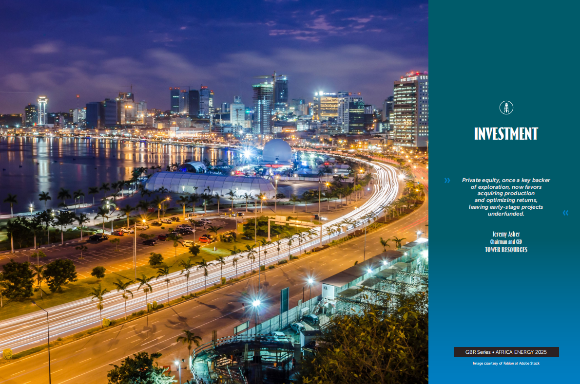 GBR：2025年非洲能源报告（英文版） 第7页