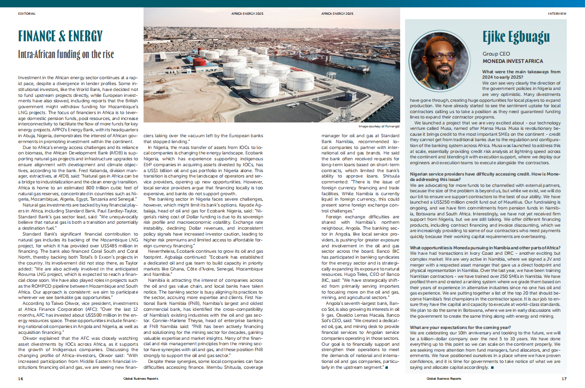 GBR：2025年非洲能源报告（英文版） 第8页