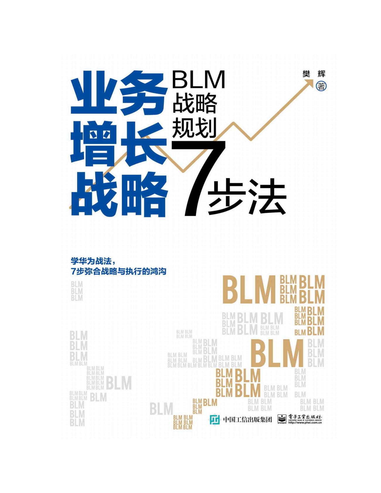 《业务增长战略 _ BLM战略规划7步法》樊辉 第2页