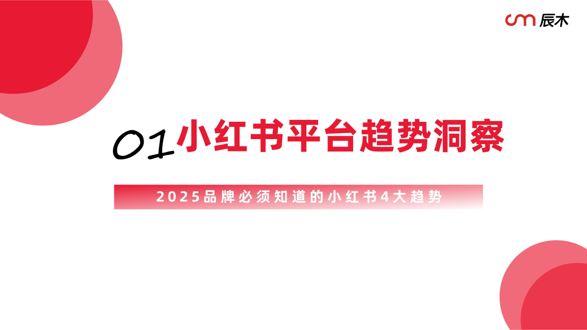辰木：小红书2025营销种草趋势 第3页