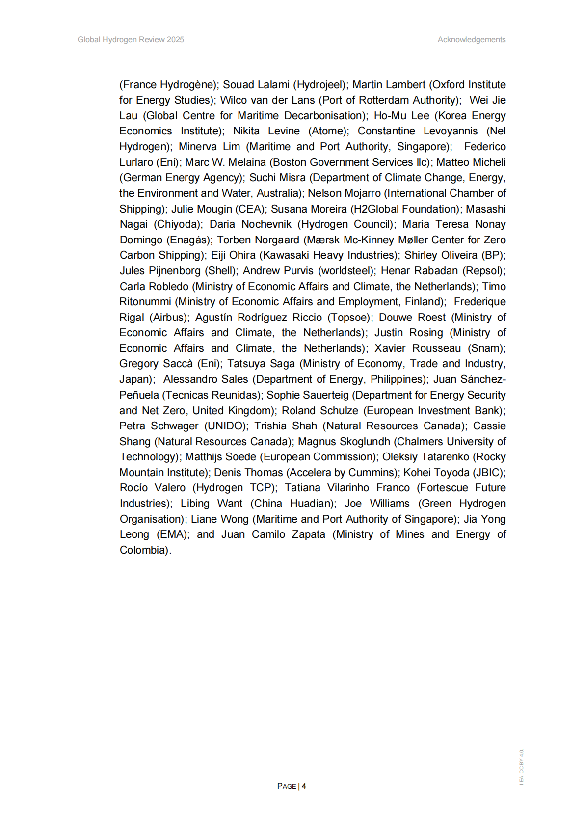 国际能源署IEA：2025年全球氢能回顾报告（英文版） 第6页