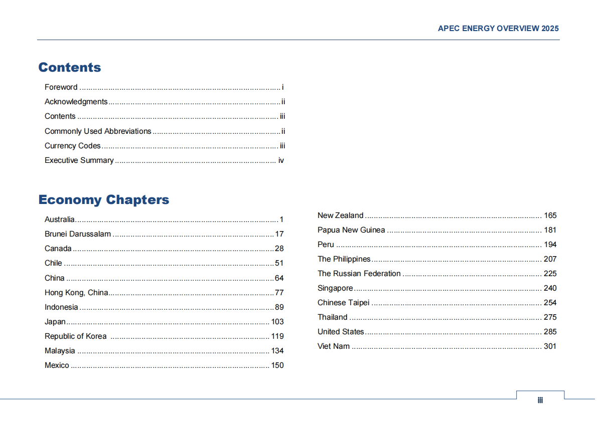 2025年亚太经合组织能源展望报告（英文） 第6页
