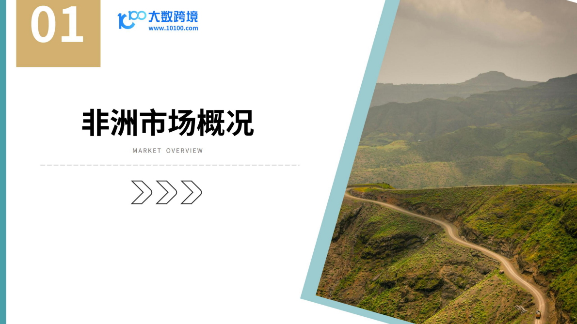 大数跨境：2025年非洲电商市场洞察报告 第4页