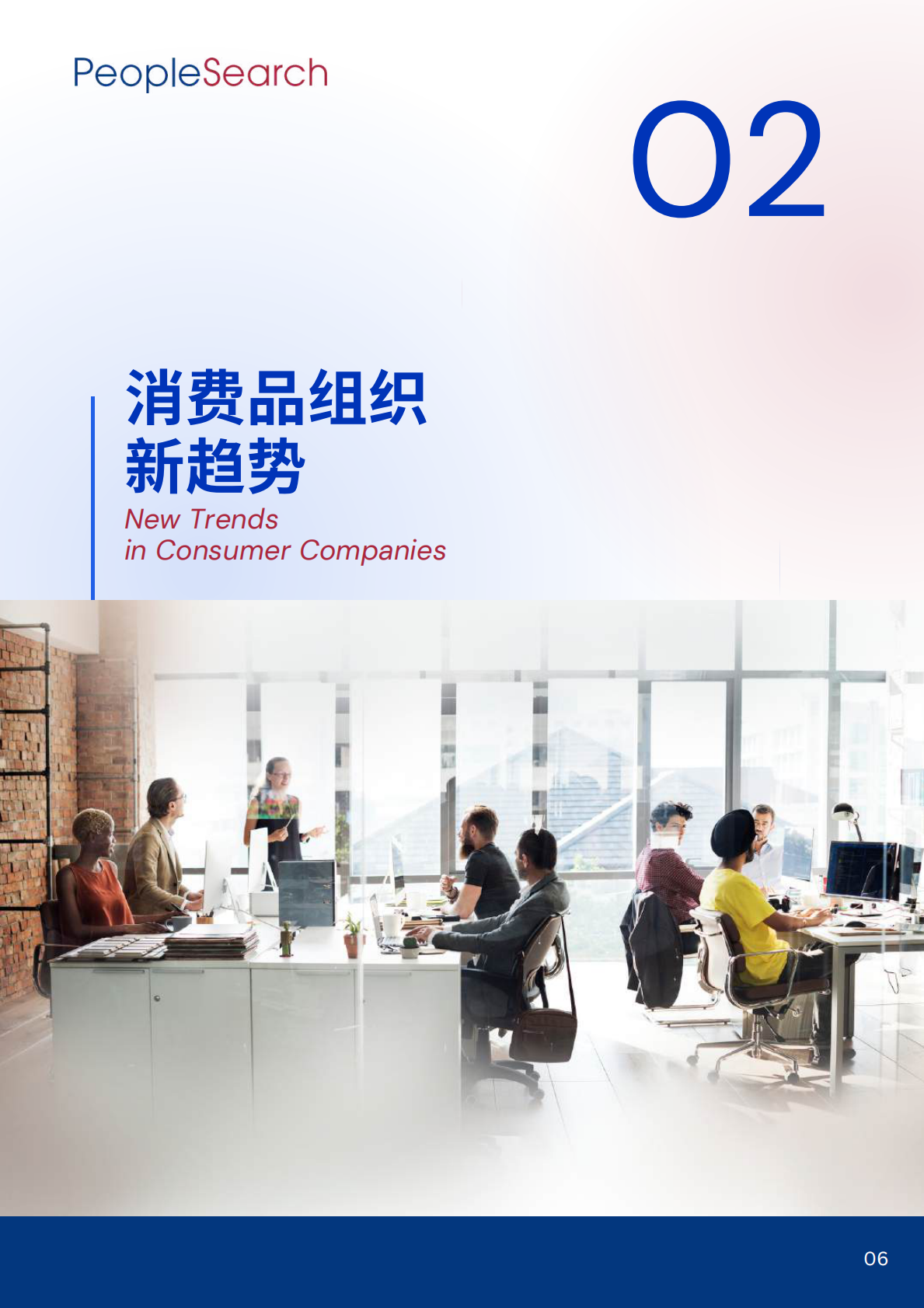 PeopleSearch：2025消费行业年度趋势报告 第8页