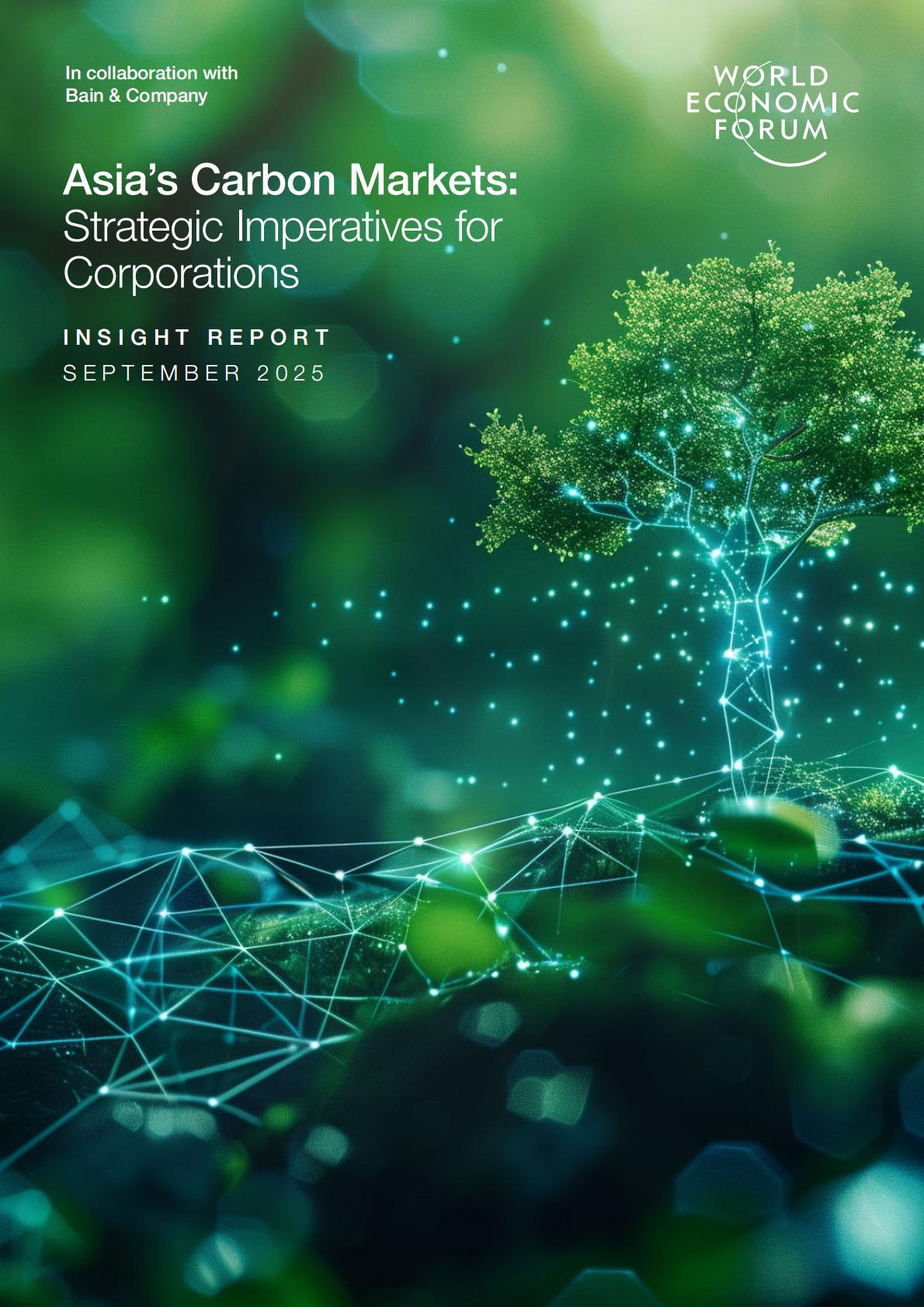世界经济论坛：2025年亚洲碳市场：企业的战略要务报告（英文版） 第1页