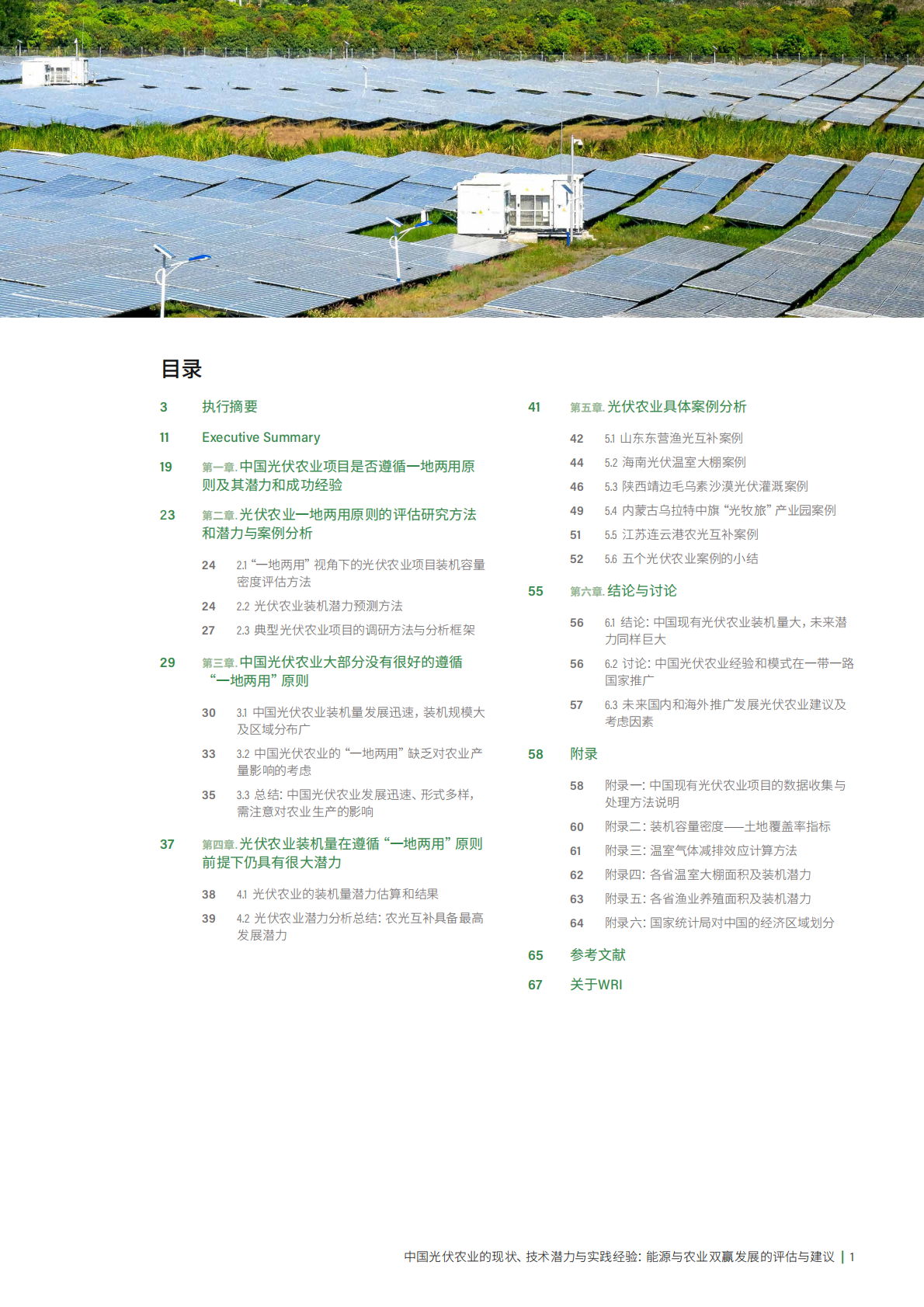 世界资源研究所：2025年中国光伏农业的现状、技术潜力与实践经验：能源与农业双赢发展的评估与建议报告 第3页