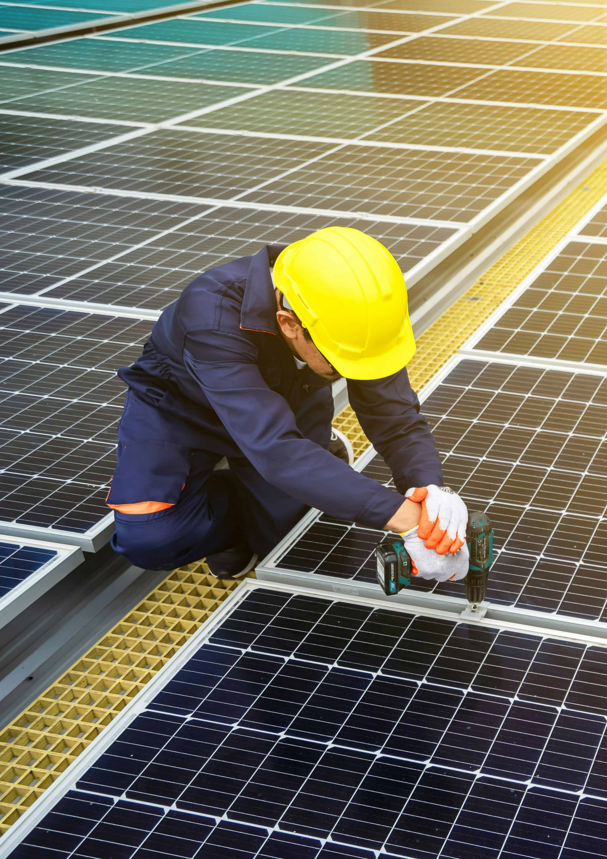 世界资源研究所：2025年中国光伏农业的现状、技术潜力与实践经验：能源与农业双赢发展的评估与建议报告 第4页