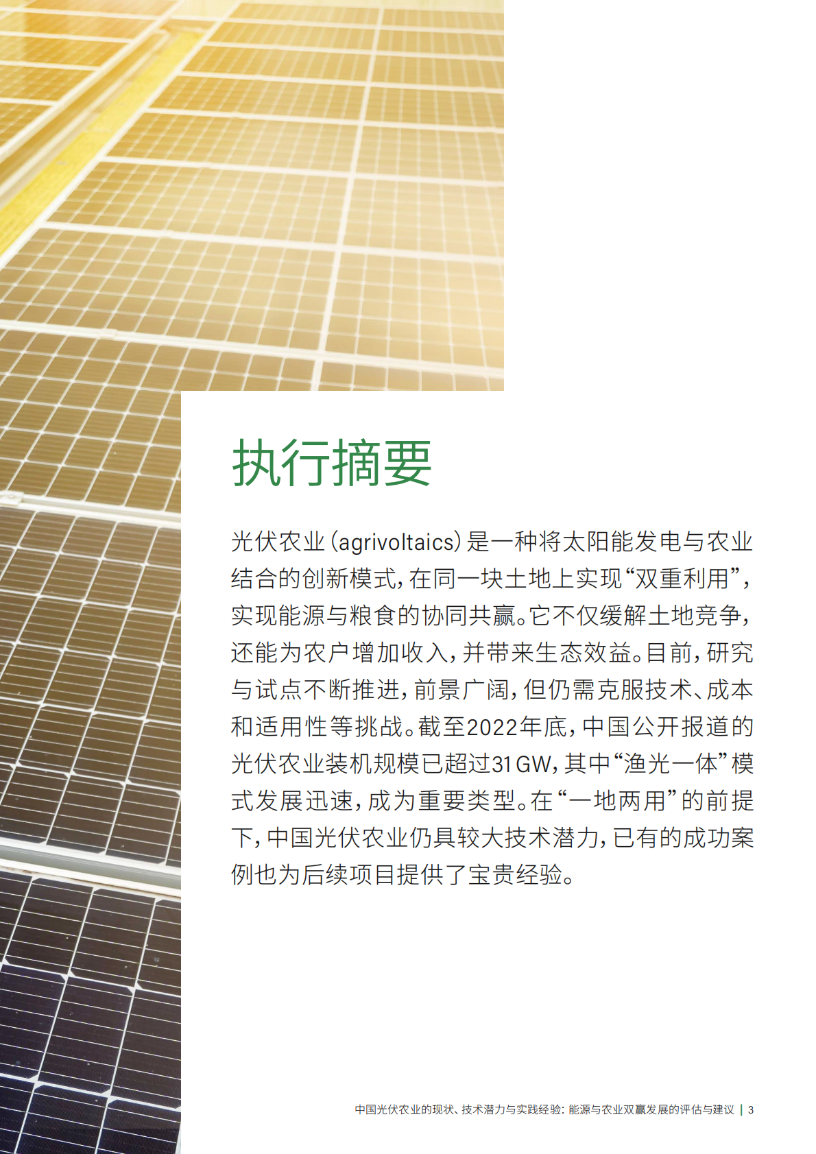 世界资源研究所：2025年中国光伏农业的现状、技术潜力与实践经验：能源与农业双赢发展的评估与建议报告 第5页
