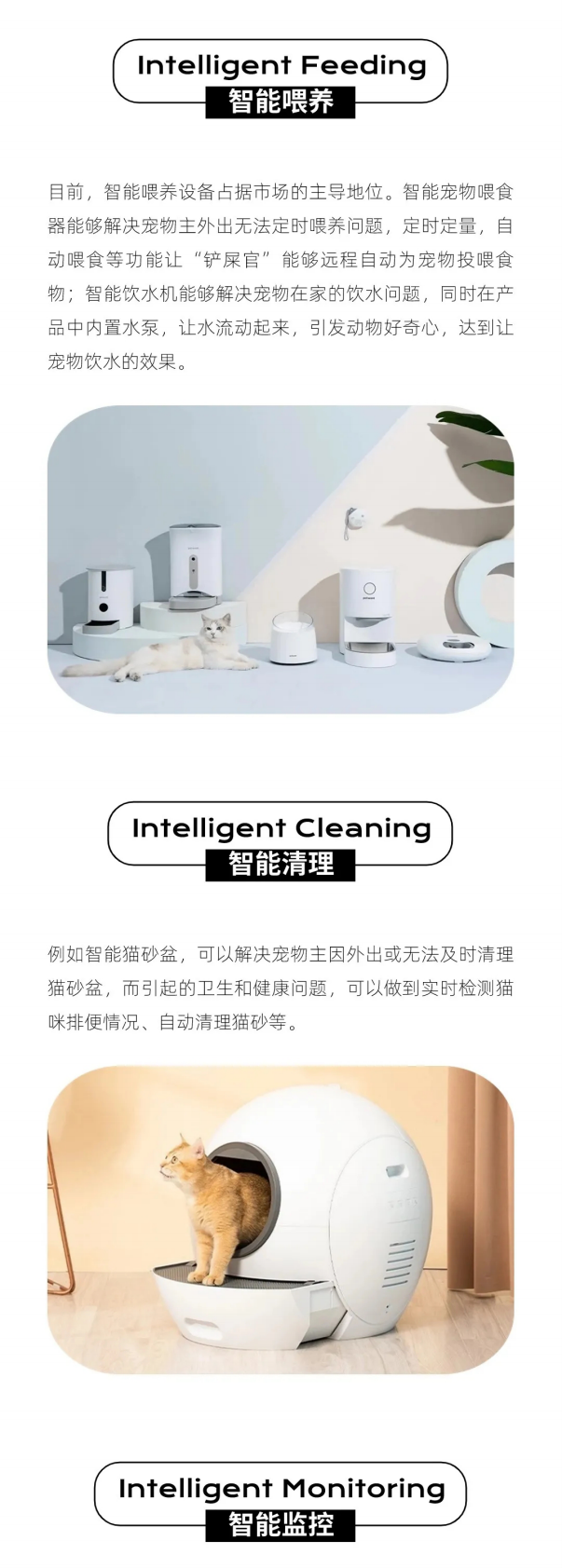 西窗科技：智能化养宠兴起 解码智能宠物用品出海指南 第4页