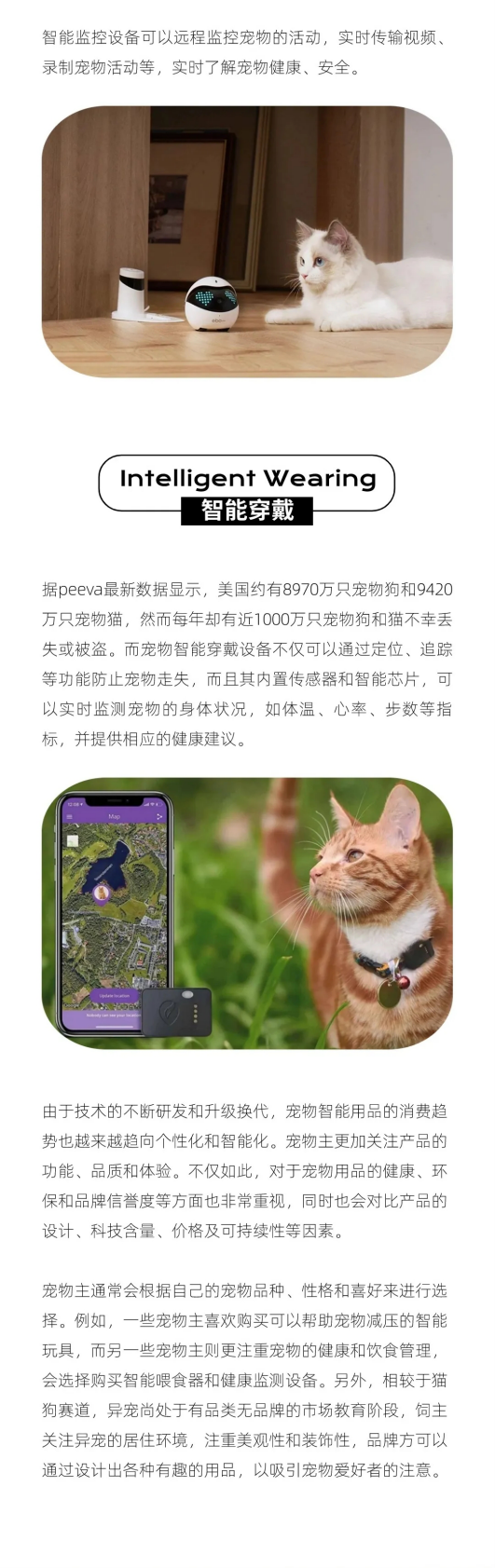 西窗科技：智能化养宠兴起 解码智能宠物用品出海指南 第5页