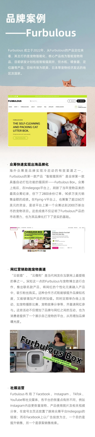 西窗科技：智能化养宠兴起 解码智能宠物用品出海指南 第6页