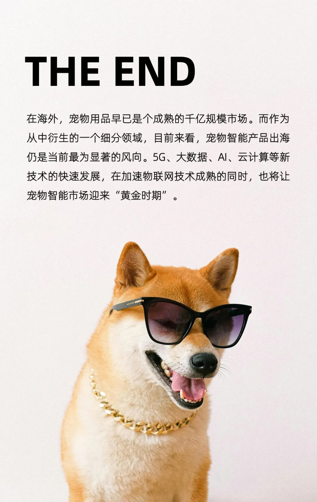 西窗科技：智能化养宠兴起 解码智能宠物用品出海指南 第7页