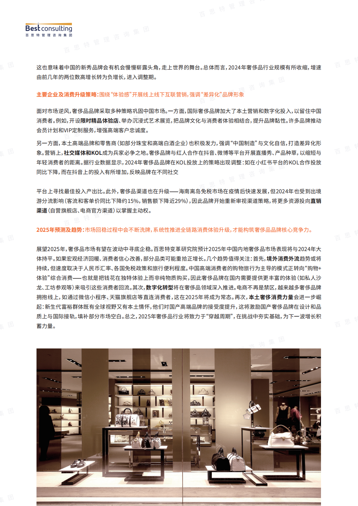 百思特：消费升级依然是主旋律——以食品饮料、奢侈品、消费电子行业为例的消费升级破局启示 第5页