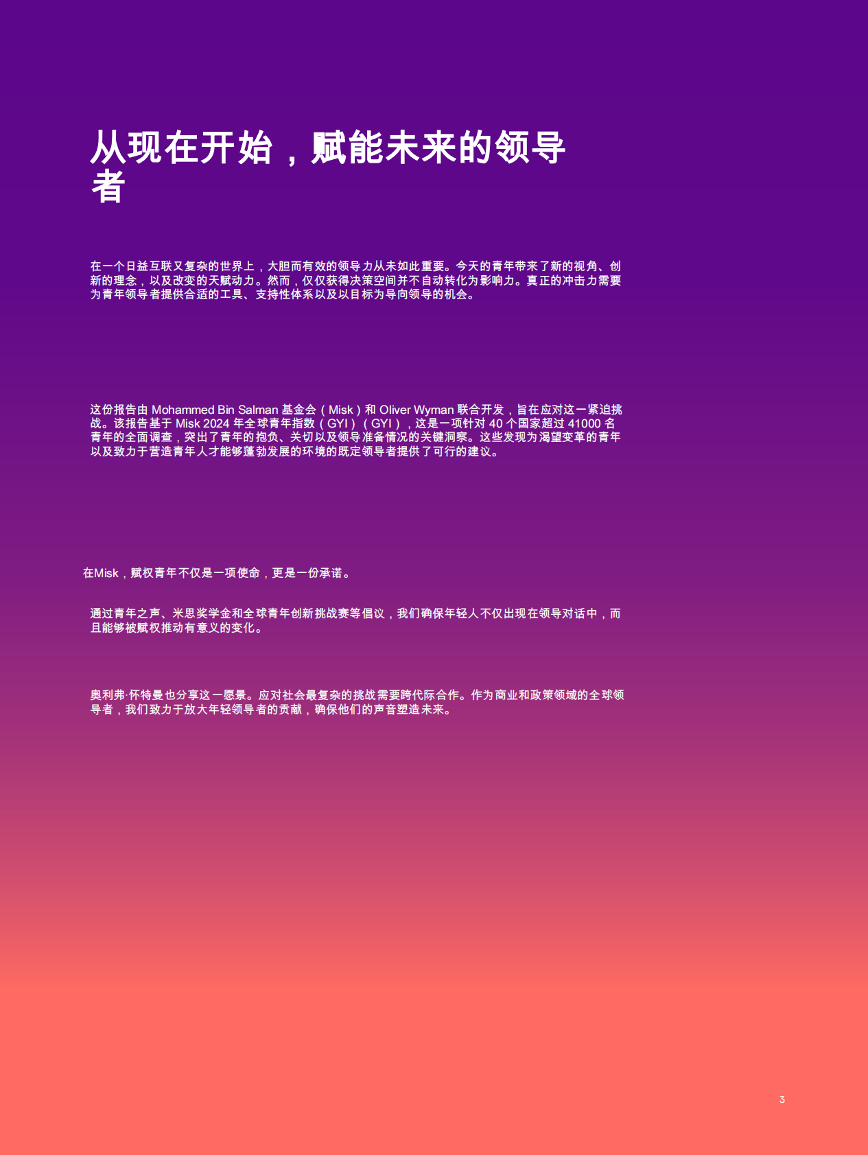 为成功而装备：青年领导者决策角色的工具与策略 第3页