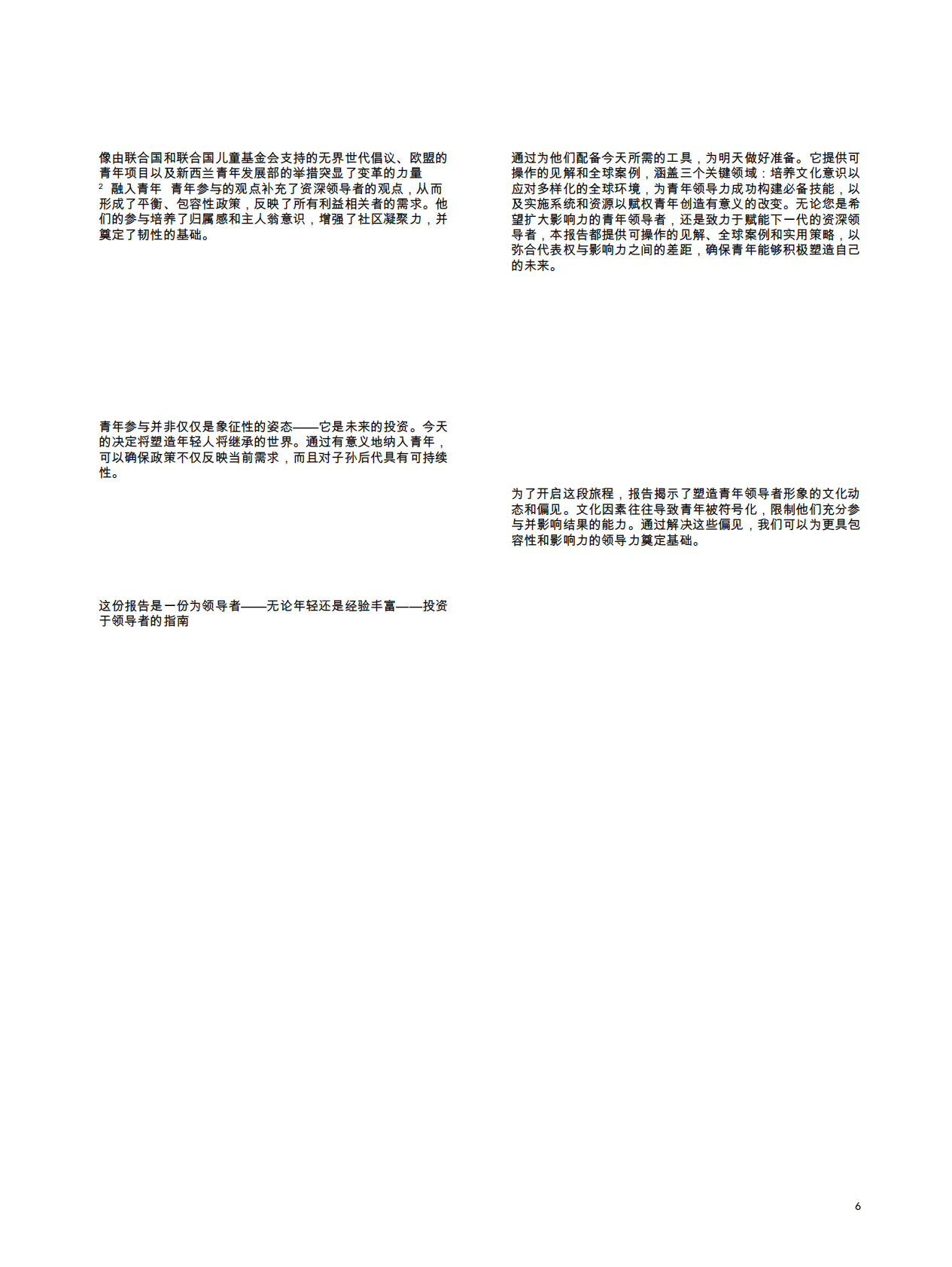 为成功而装备：青年领导者决策角色的工具与策略 第6页