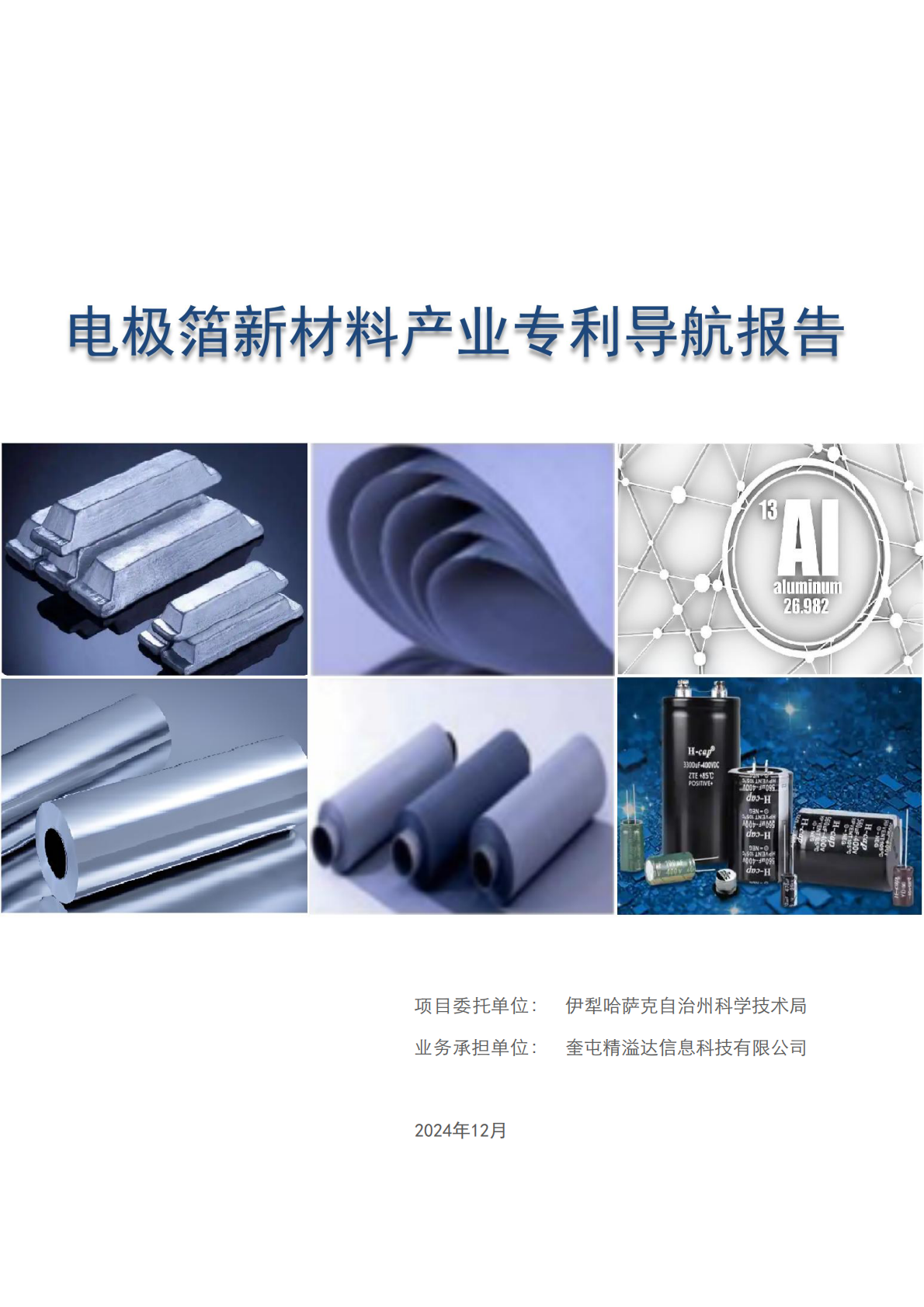 奎屯精溢达信息科技有限公司：电极箔新材料产业专利导航报告 第1页