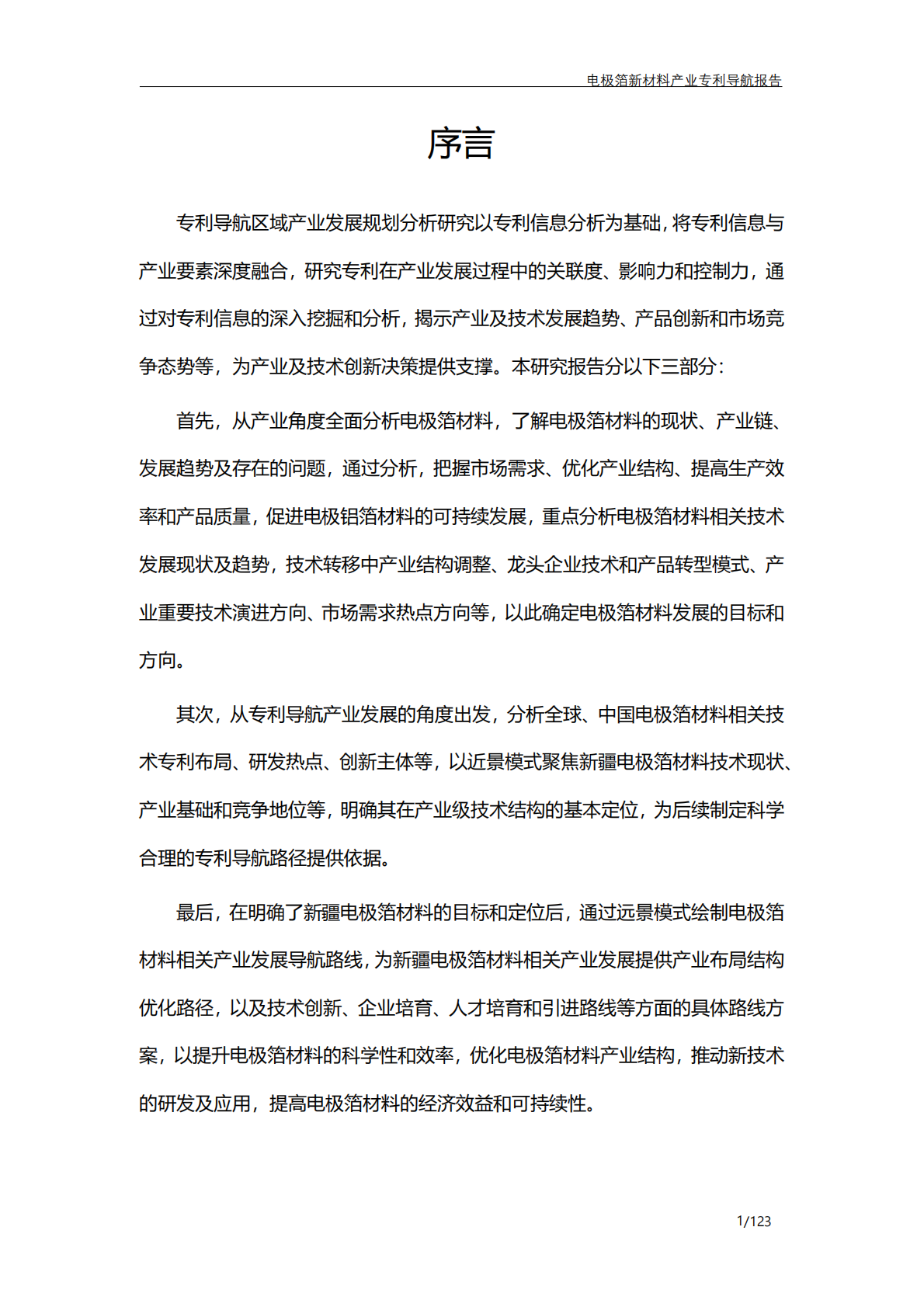 奎屯精溢达信息科技有限公司：电极箔新材料产业专利导航报告 第2页