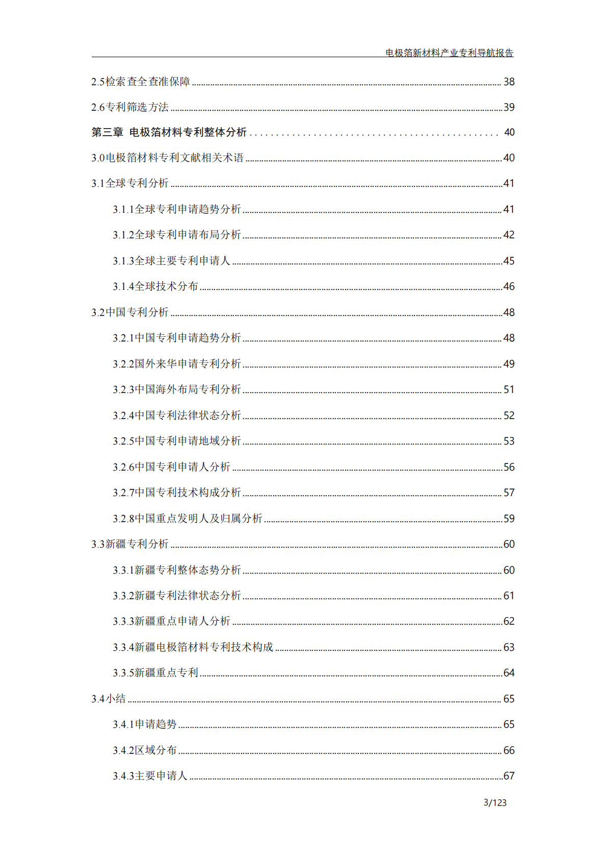 奎屯精溢达信息科技有限公司：电极箔新材料产业专利导航报告 第4页