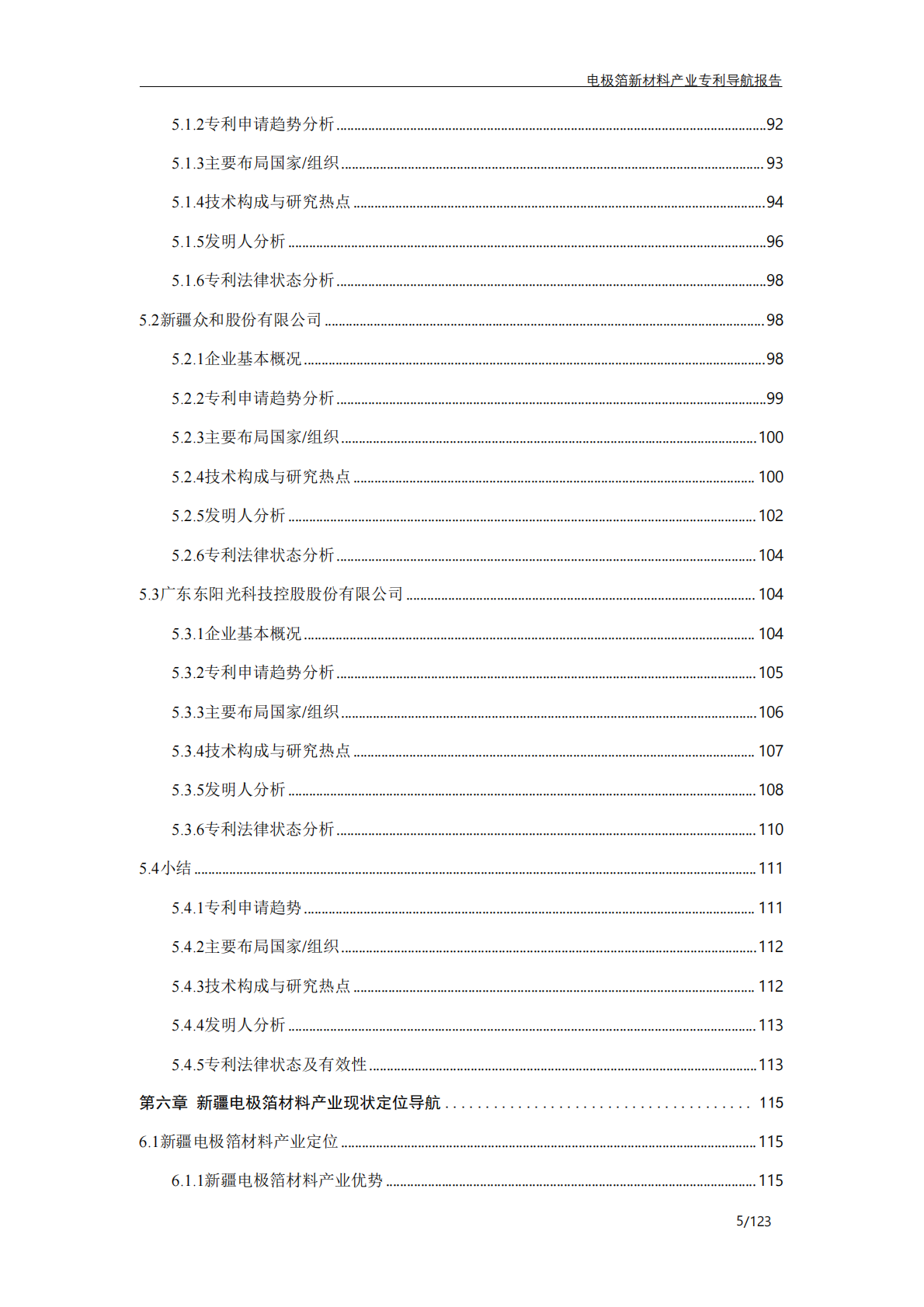 奎屯精溢达信息科技有限公司：电极箔新材料产业专利导航报告 第6页