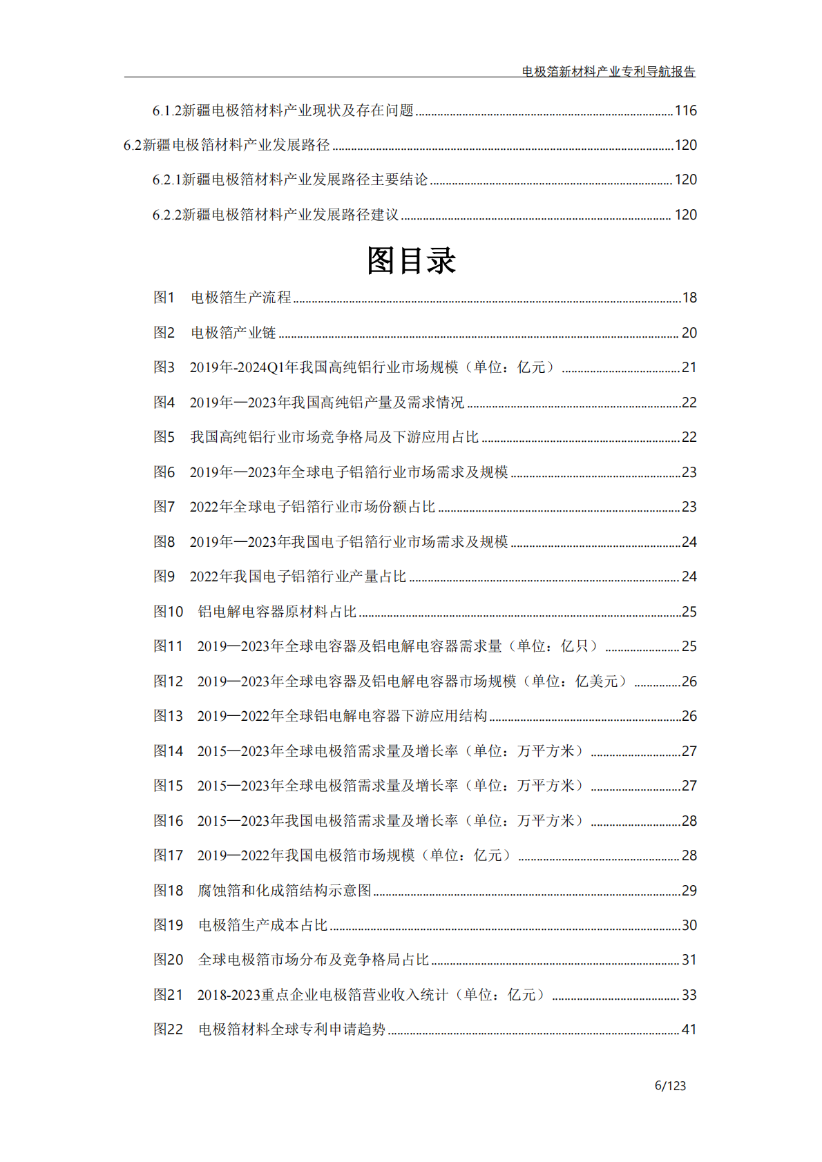 奎屯精溢达信息科技有限公司：电极箔新材料产业专利导航报告 第7页