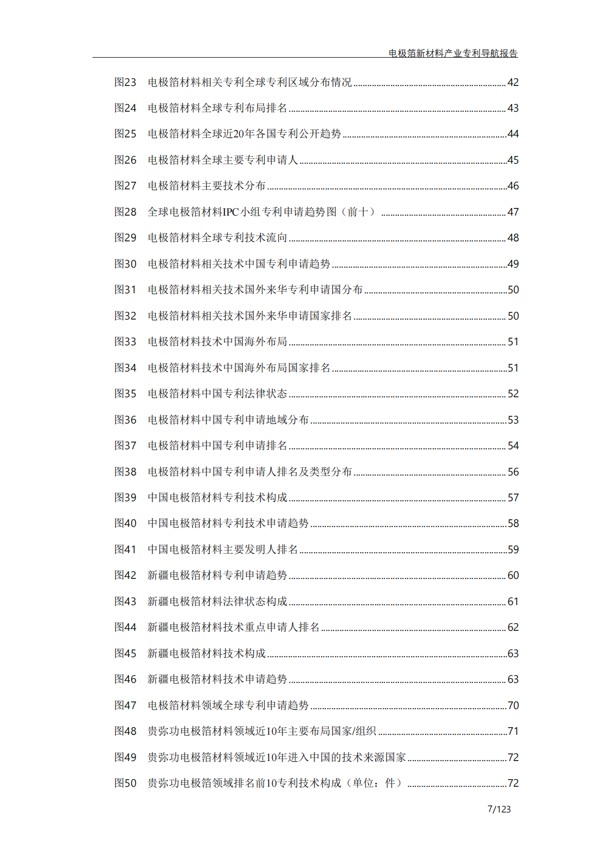 奎屯精溢达信息科技有限公司：电极箔新材料产业专利导航报告 第8页