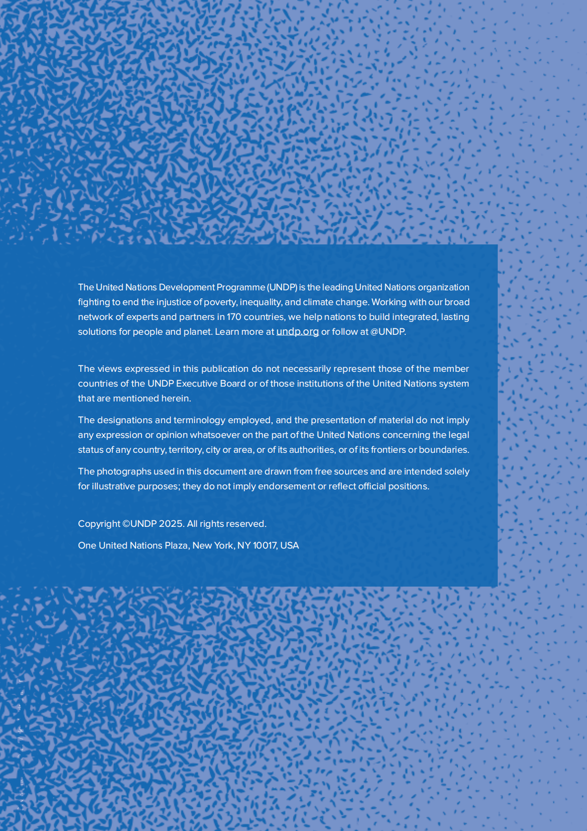 联合国开发计划署UNDP：2025年药物政策的发展维度：评估新挑战、发现机遇和解决新问题报告（英文版） 第2页