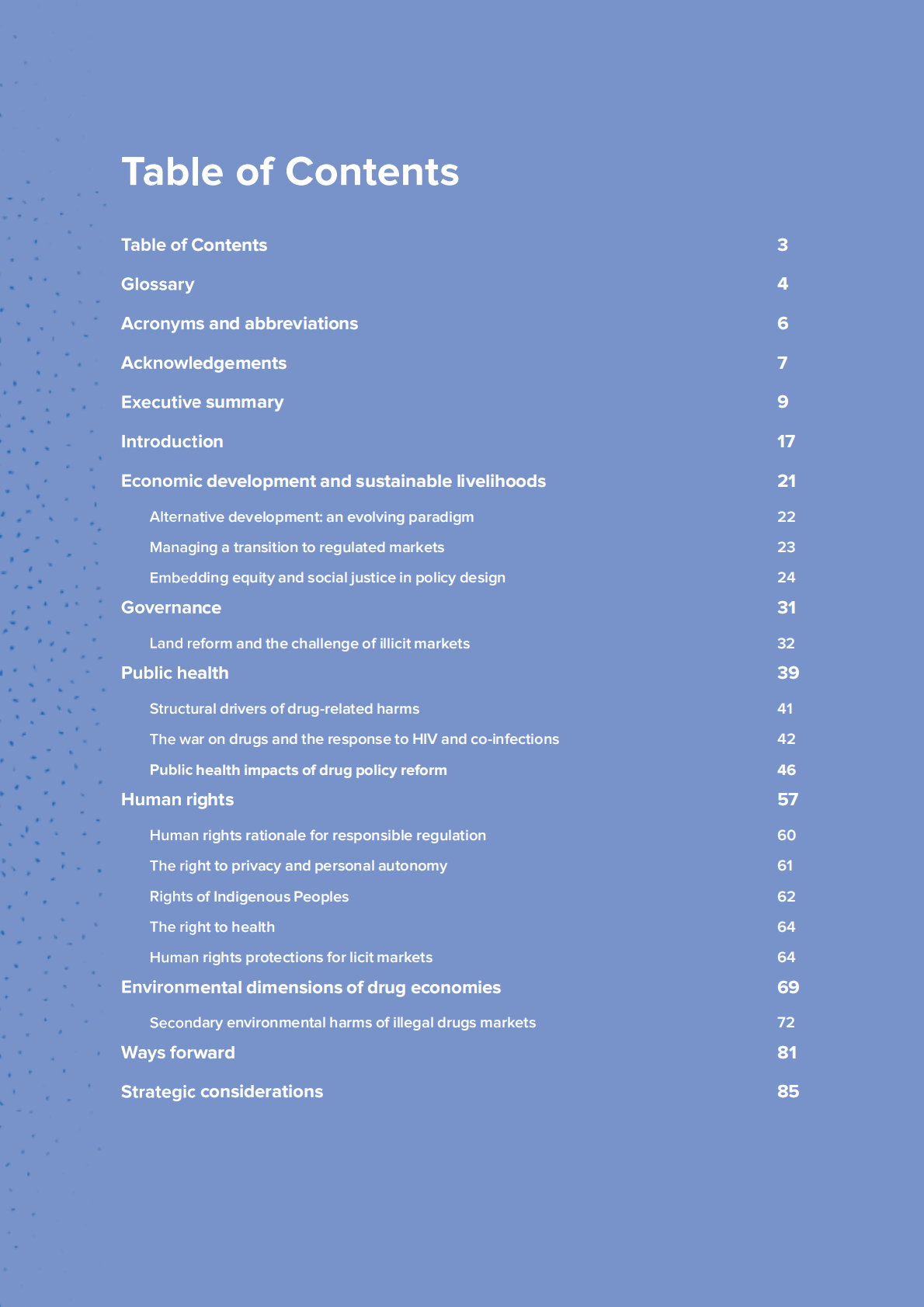 联合国开发计划署UNDP：2025年药物政策的发展维度：评估新挑战、发现机遇和解决新问题报告（英文版） 第3页