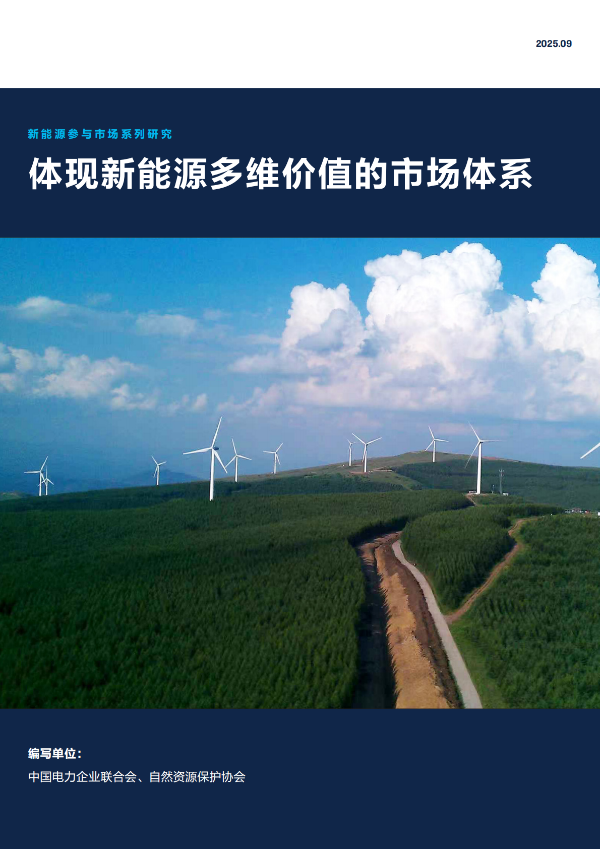 自然资源保护协会：2025年新能源参与市场系列研究：体现新能源多维价值的市场体系报告 第1页