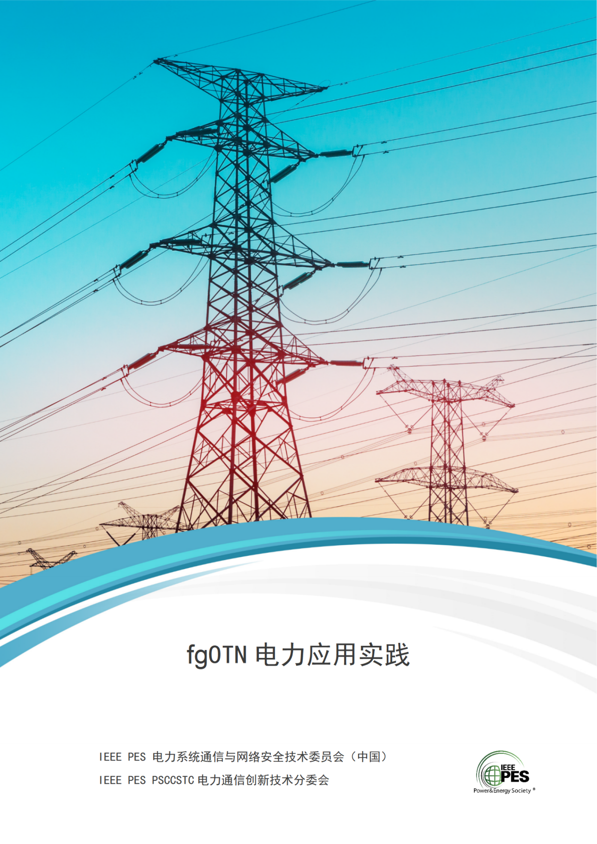 IEEE：2025年fgOTN电力应用实践报告 第1页