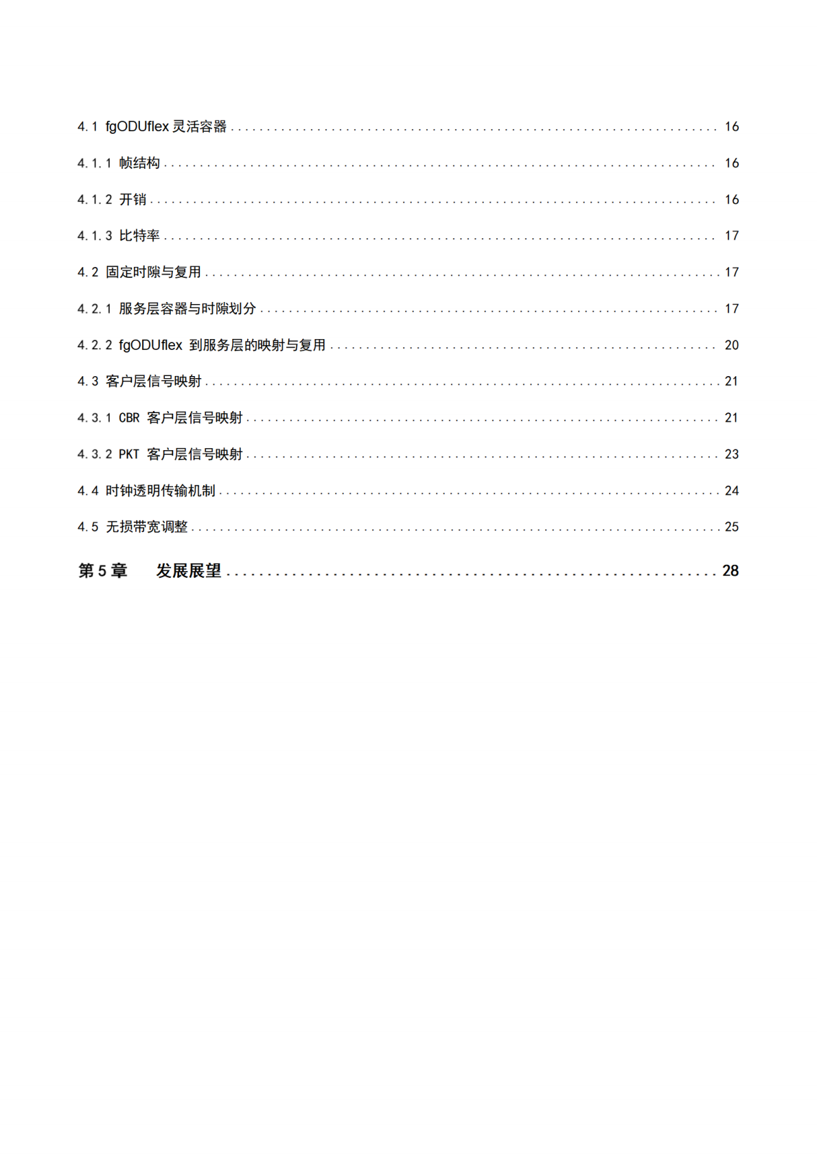 IEEE：2025年fgOTN电力应用实践报告 第3页