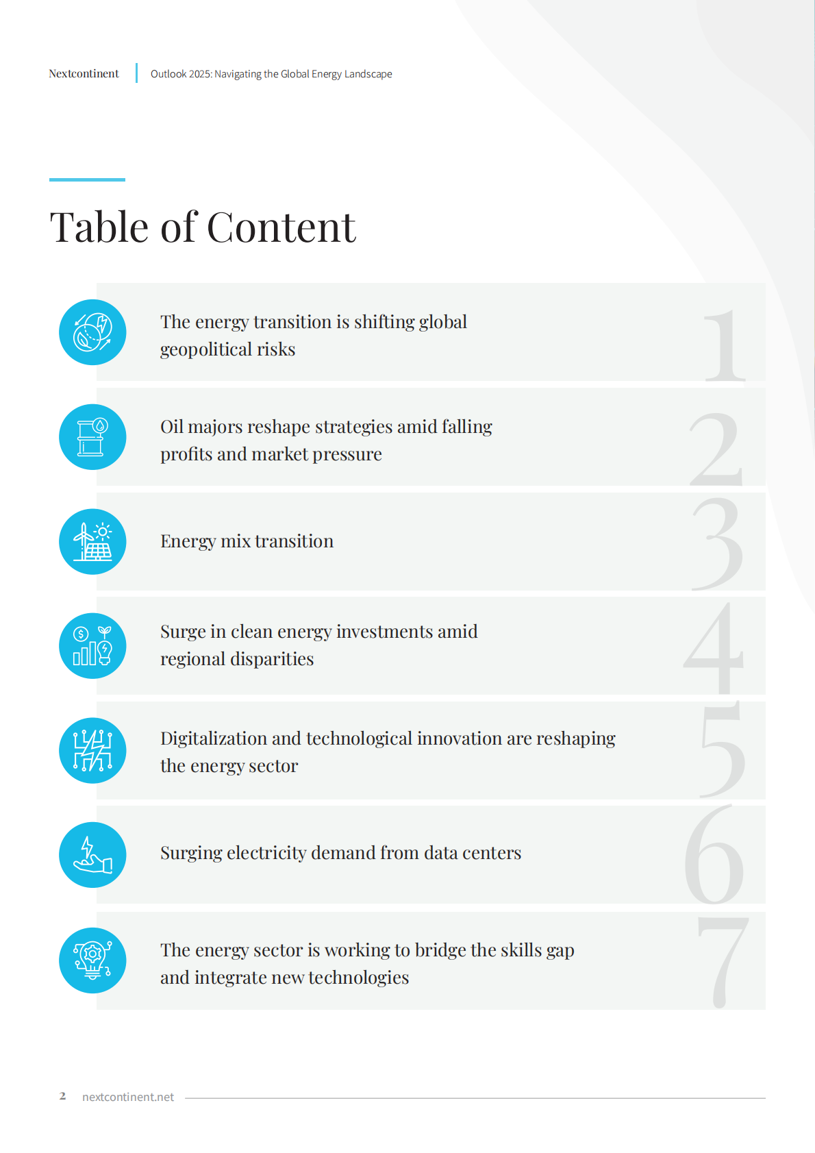 Nextcontinent：2025年展望：驾驭全球能源格局研究报告（英文版） 第2页