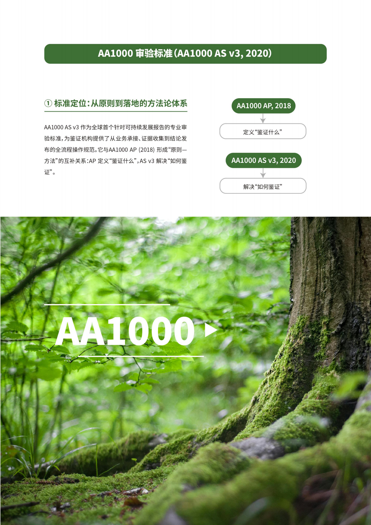 ICAS英格尔认证：2025从合规到价值创造的可持续发展报告鉴证白皮书 第6页