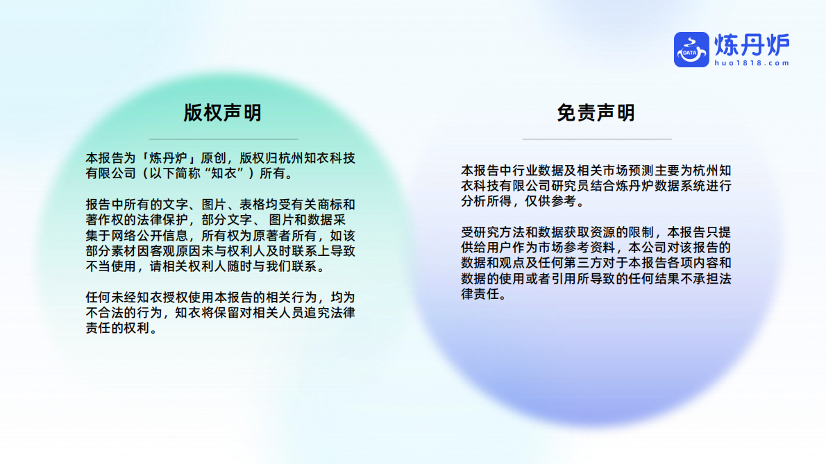 炼丹炉：2025年“猫经济”消费趋势洞察 第2页