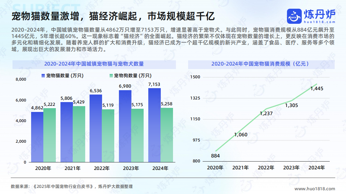 炼丹炉：2025年“猫经济”消费趋势洞察 第5页