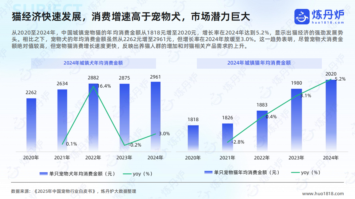 炼丹炉：2025年“猫经济”消费趋势洞察 第6页