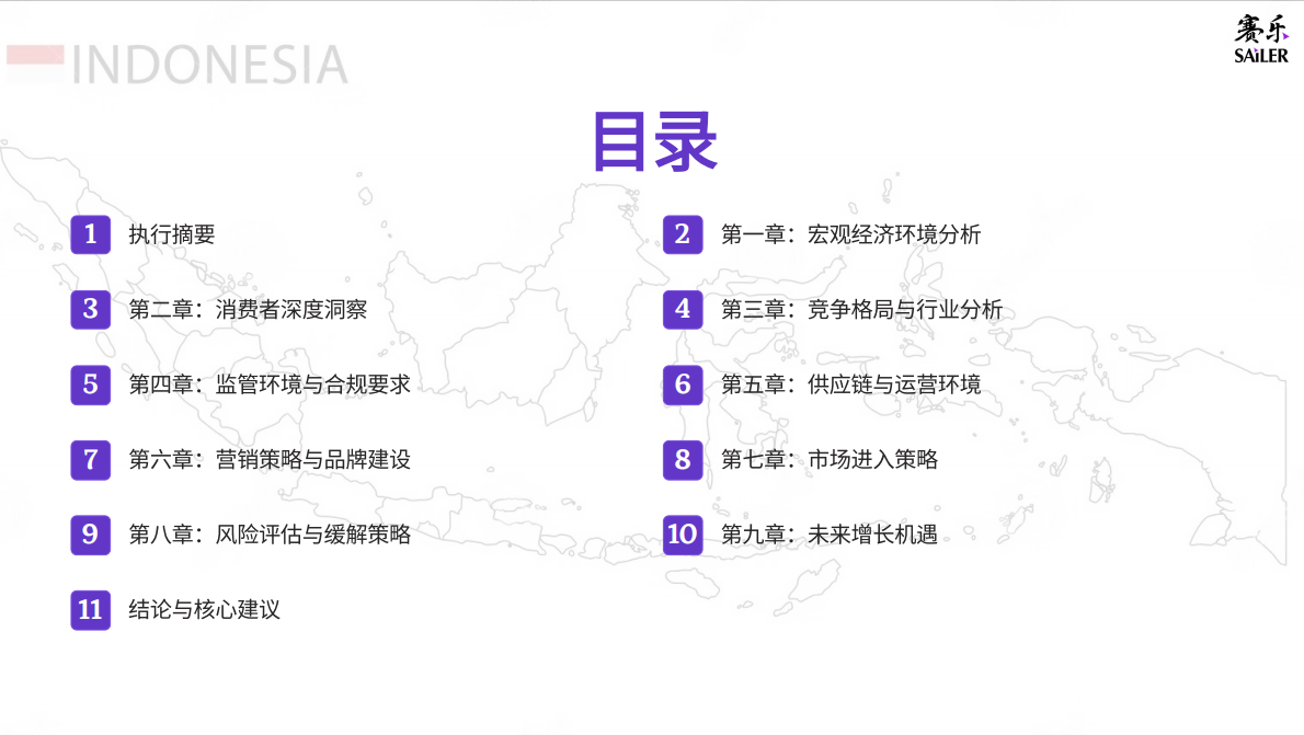 赛乐：2025年印尼消费市场全景洞察报告 第2页