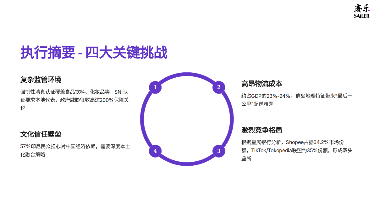赛乐：2025年印尼消费市场全景洞察报告 第5页