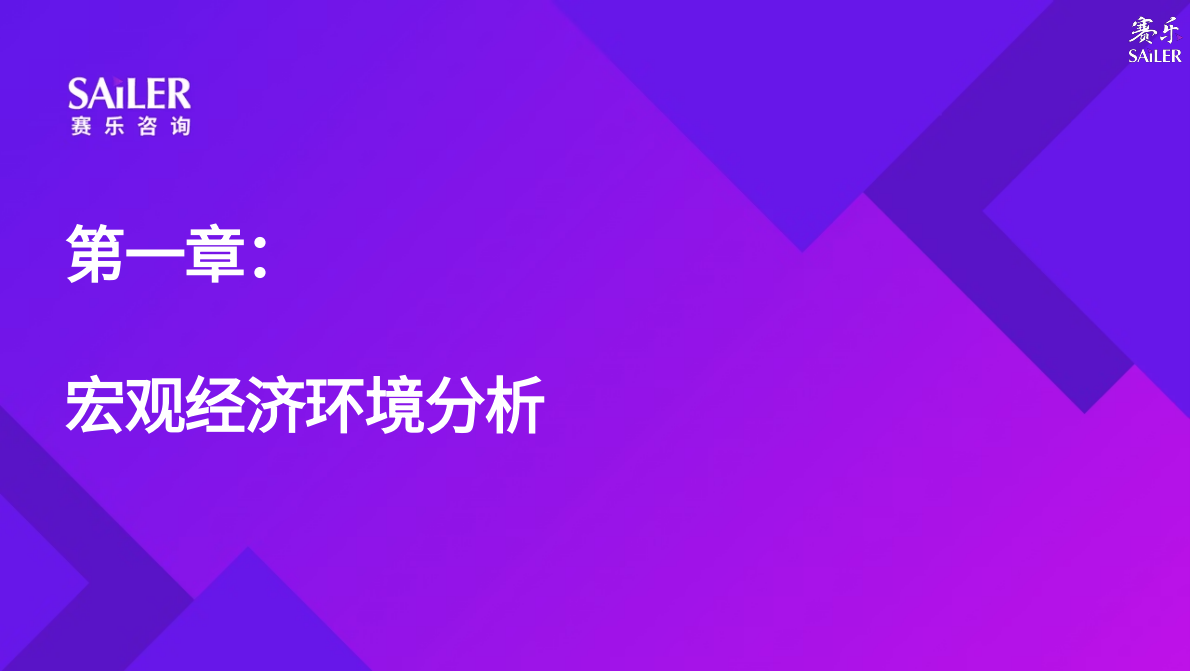 赛乐：2025年印尼消费市场全景洞察报告 第6页