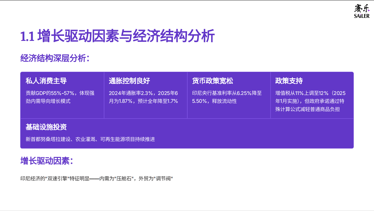 赛乐：2025年印尼消费市场全景洞察报告 第8页