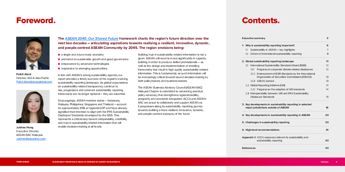 ACCA：2025年东盟可持续发展报告（英文版） 第3页