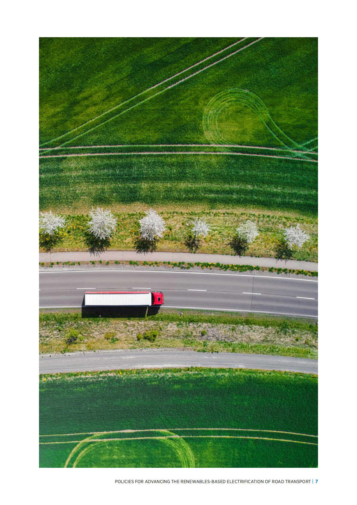 IRENA国际可再生能源机构：2025年推动基于可再生能源的公路运输电气化的政策报告（英文版） 第7页