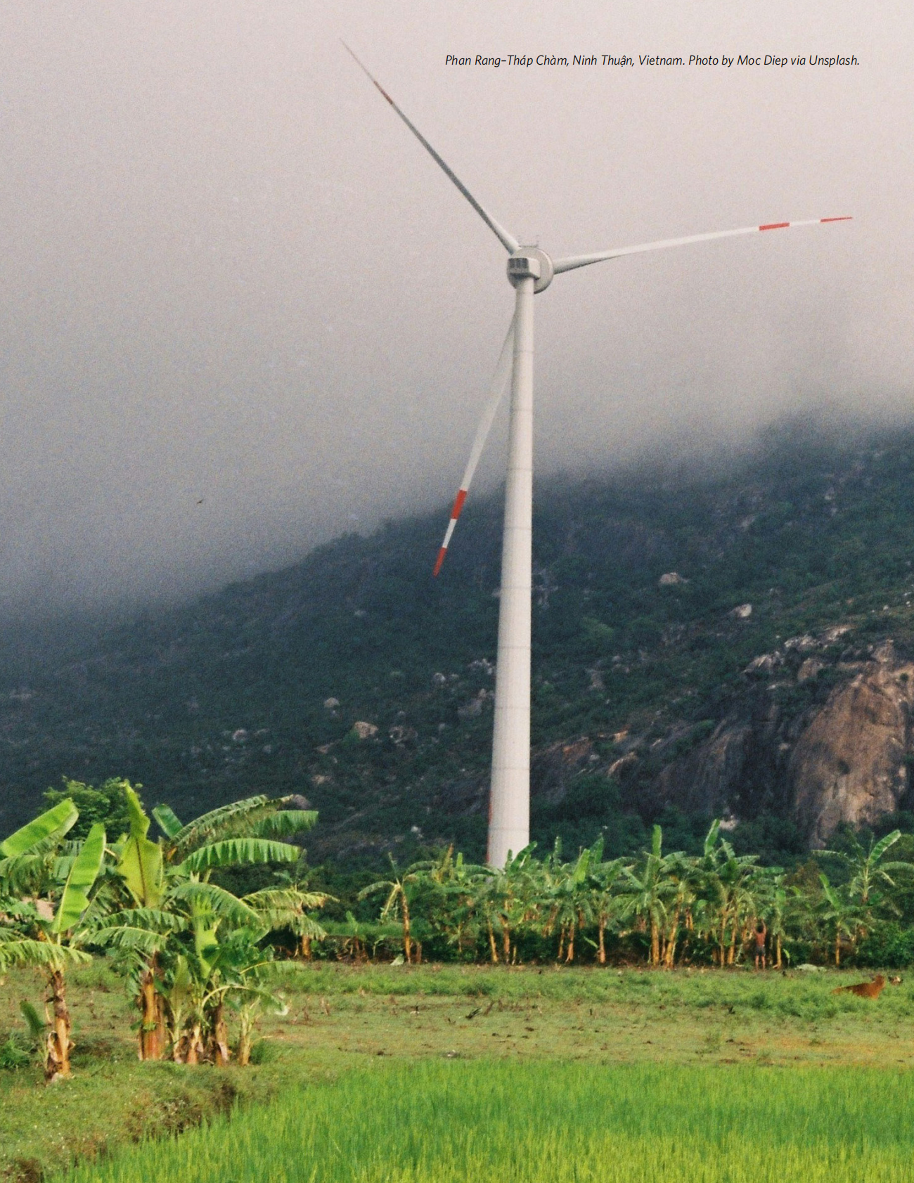 波士顿大学全球发展政策研究中心：2025年绿色发展战略：全球南方绿色结构性转型的国际维度报告（英文版） 第6页
