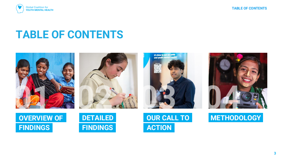 全球性挑战对Z世代心理健康的影响报告（英文） 第3页