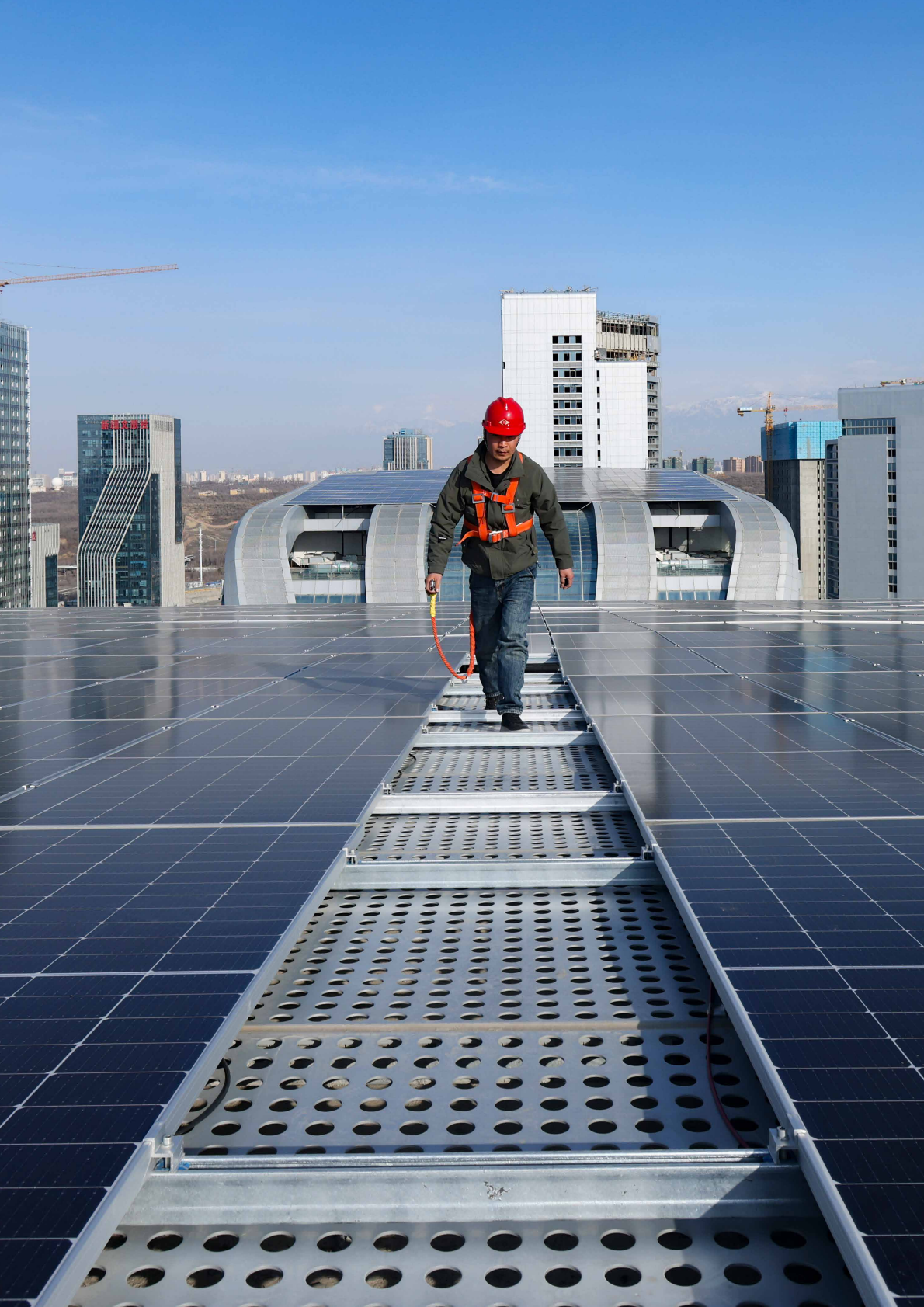 世界资源研究所：2025年典型省份分布式光伏发展模式研究报告 第4页