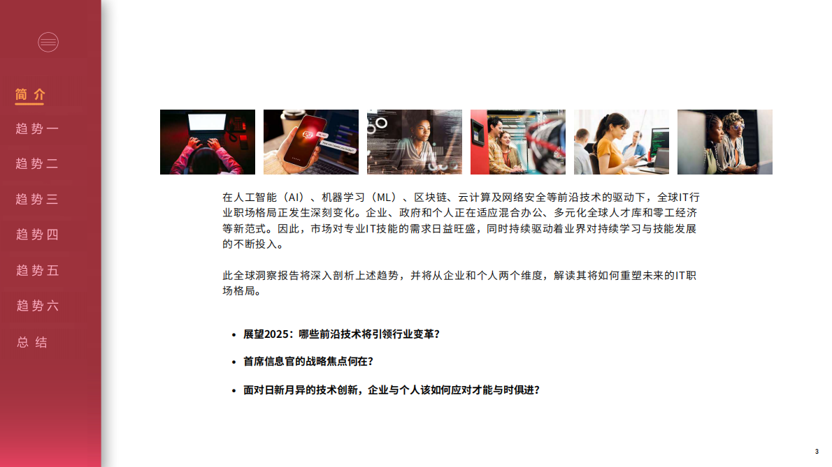 2025年IT行业职场展望 第3页