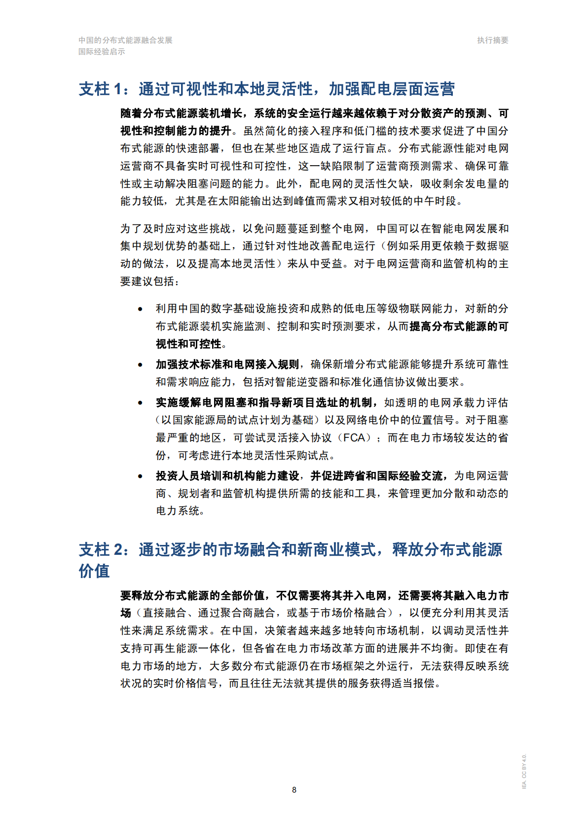 IEA国际能源署：2025年中国的分布式能源融合发展：国际经验启示报告 第8页