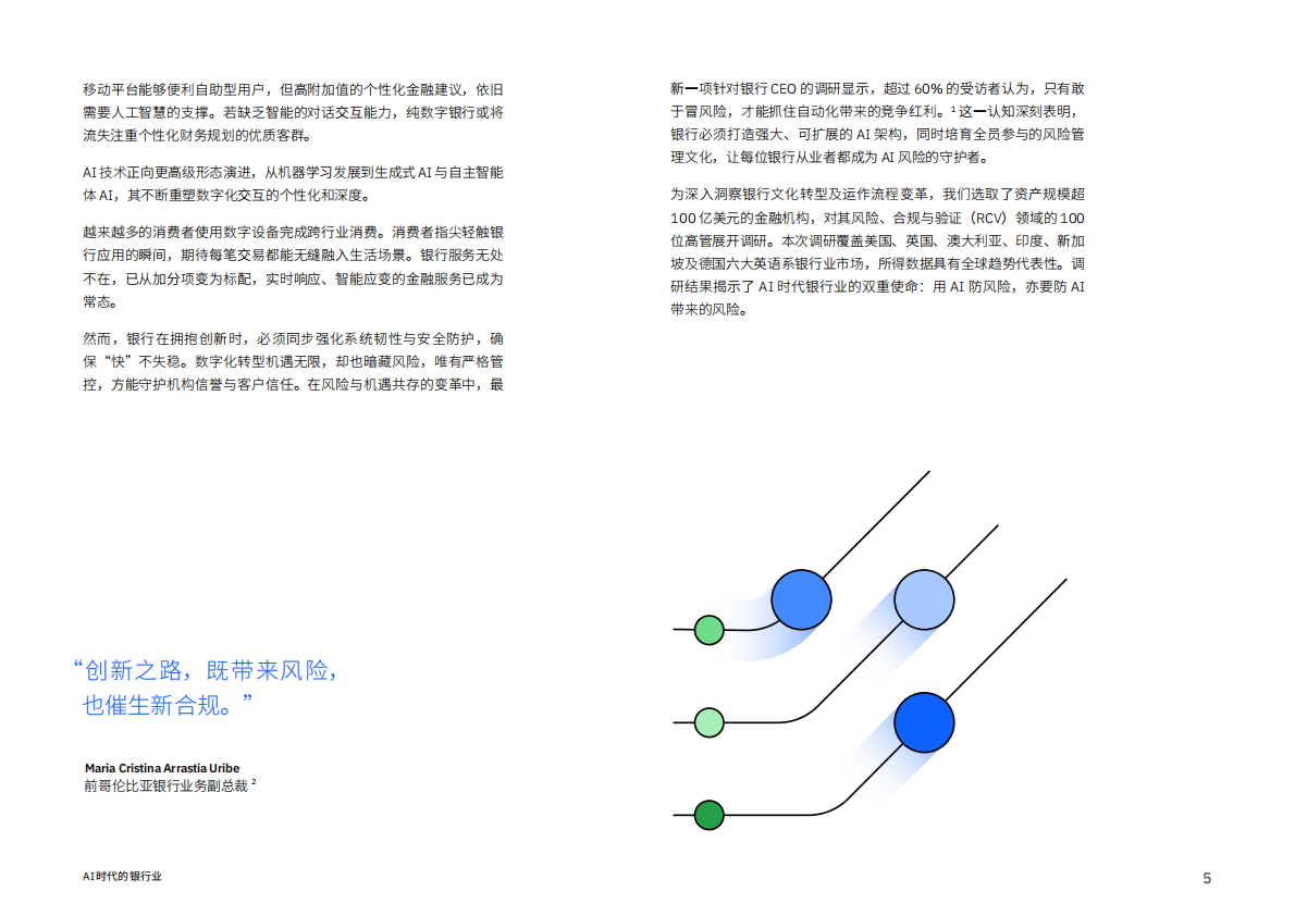 IBM商业价值研究院：2025年AI时代的银行业：以AI驭险更须为AI设防报告 第5页