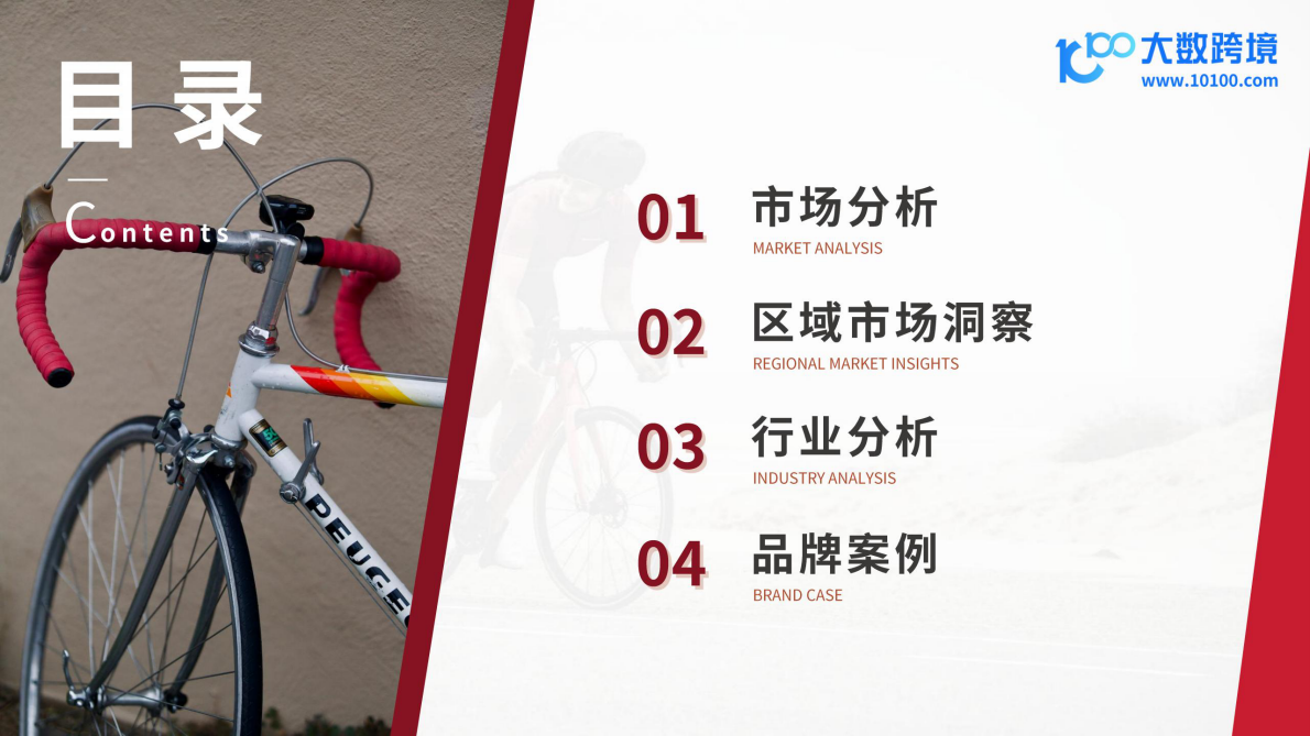 大数跨境：2025骑行配件出海研究报告 第3页