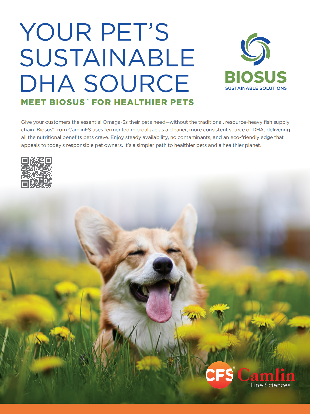 Pet food Industry：2025年宠物食品报告：单个旋钮 无限可能（10月刊）（英文版） 第7页