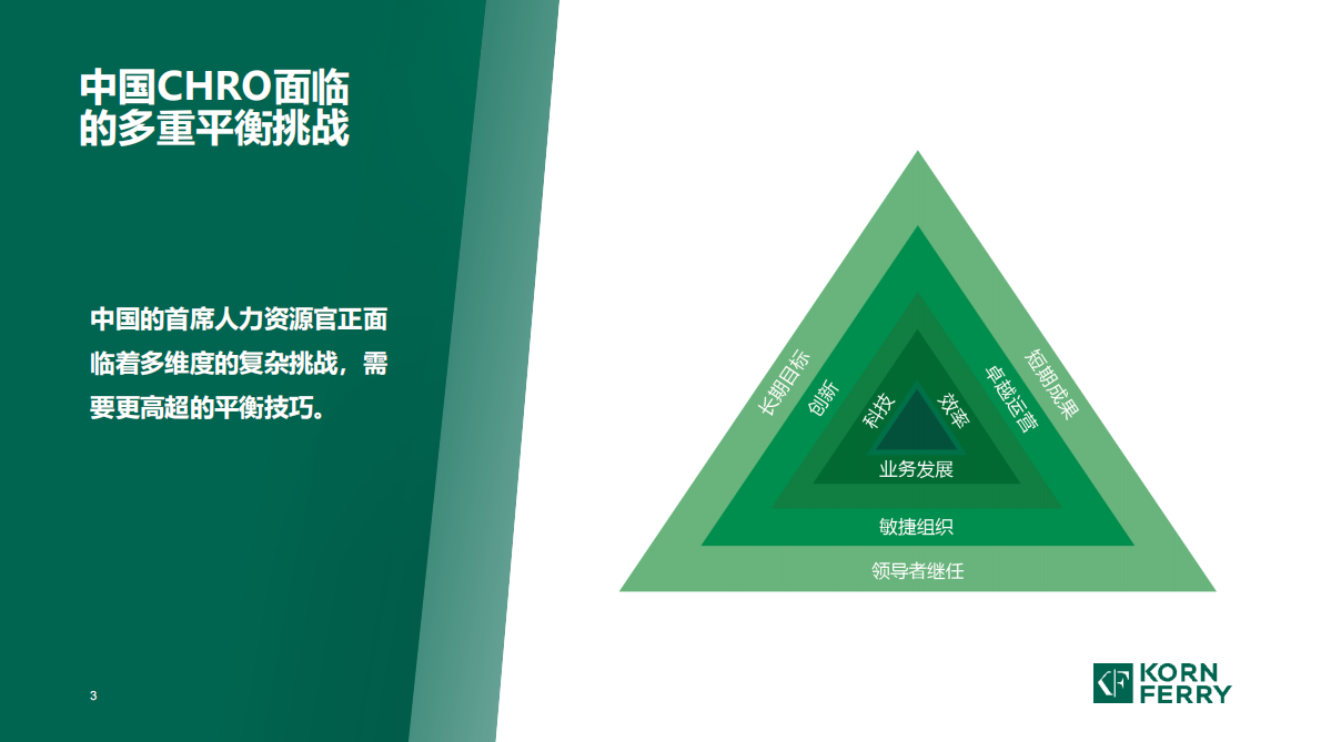 光辉国际：2025年中国人力资源一号位调研成果 第3页
